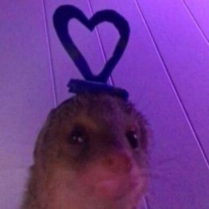 Meet your Posher, Nohemi